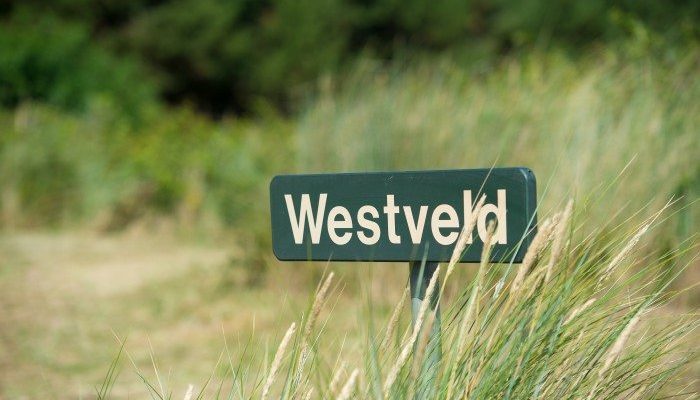 Trekkersveld - Camping De Kiekduun Ameland